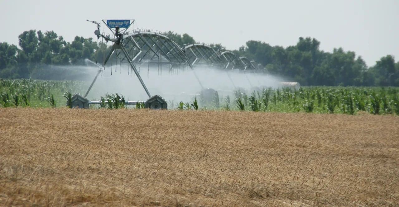 Expert Drainage Services in Aledo , TX by Local Irrigation Professionals