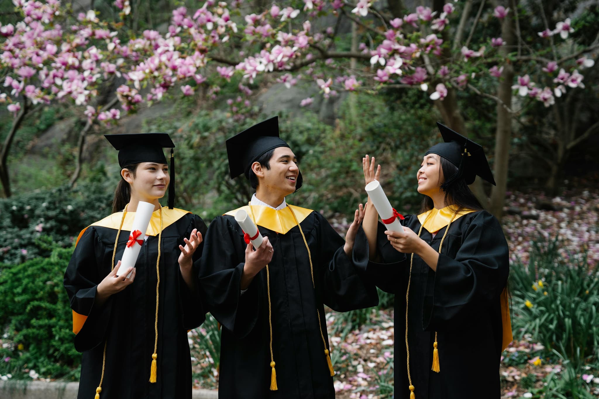 Buy Diploma to Impress Employers and Enhance Your Resume