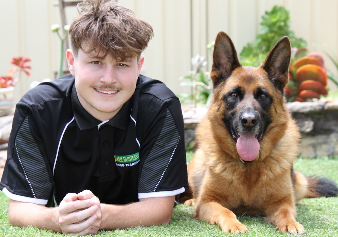 Top Dog Trainers Arizona Dog Owners Trust Most