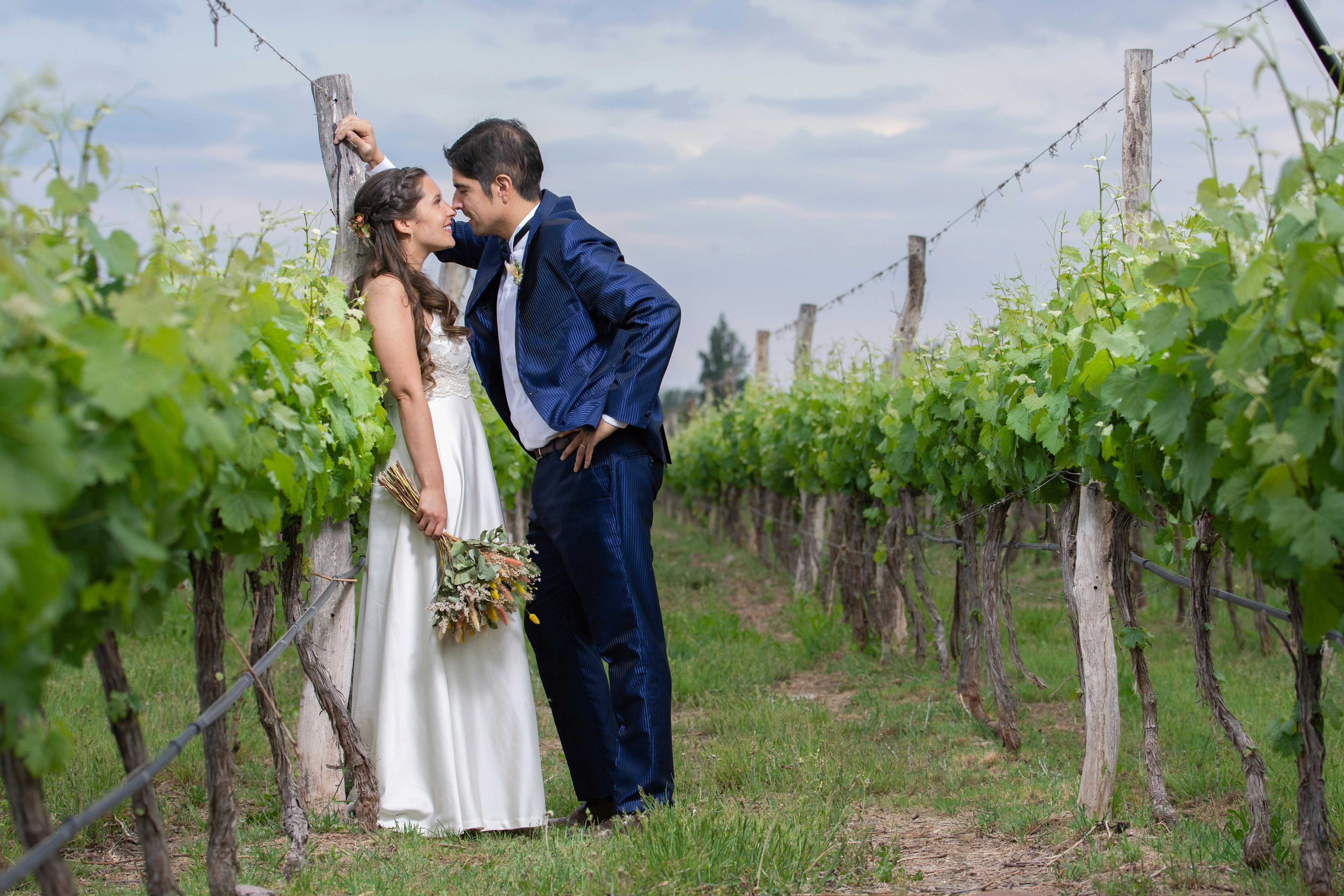 Discover Clarksburg Wedding Venues with Stunning Sunset Views