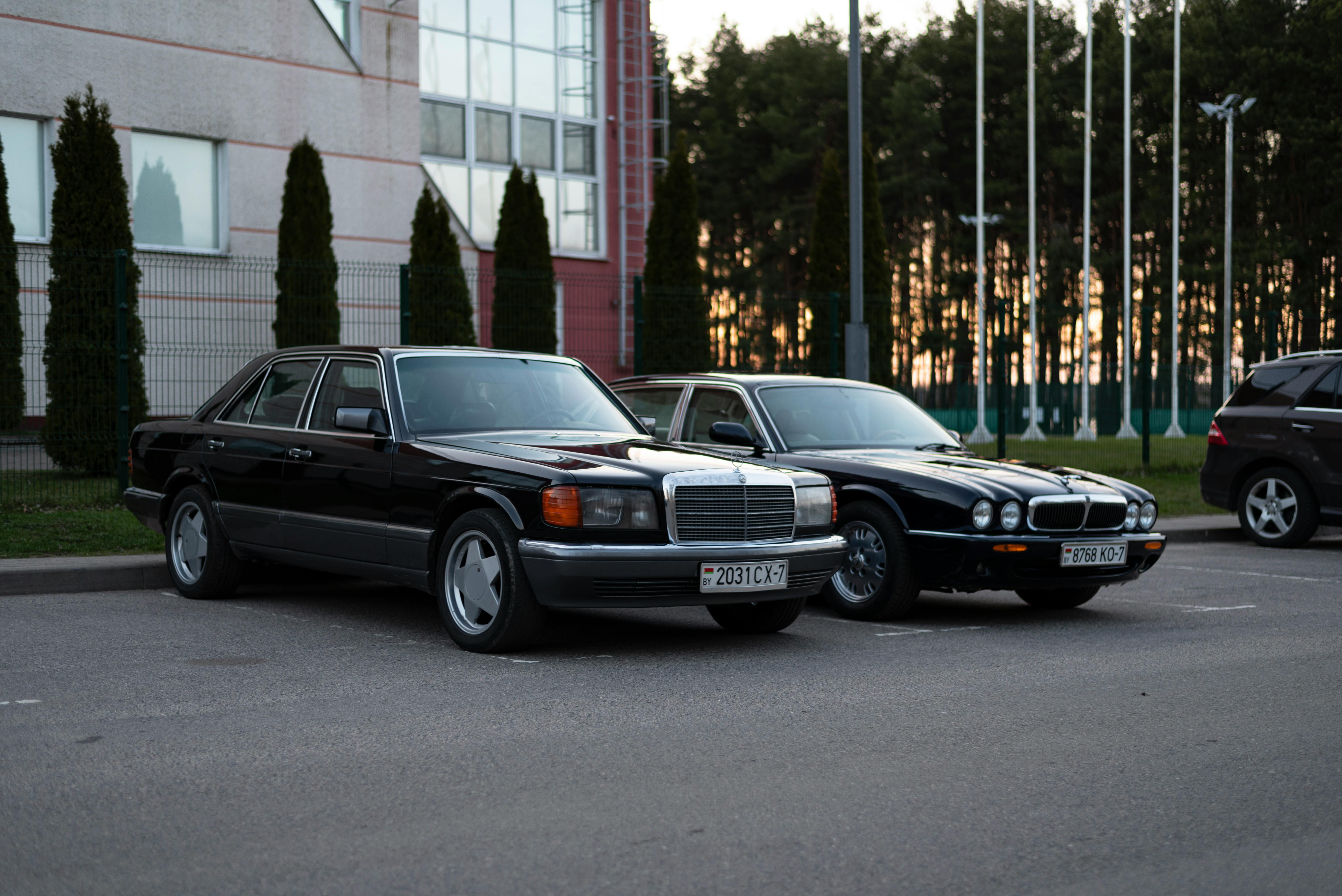 Langley Wine Tours for Groups: Tips and Recommendations