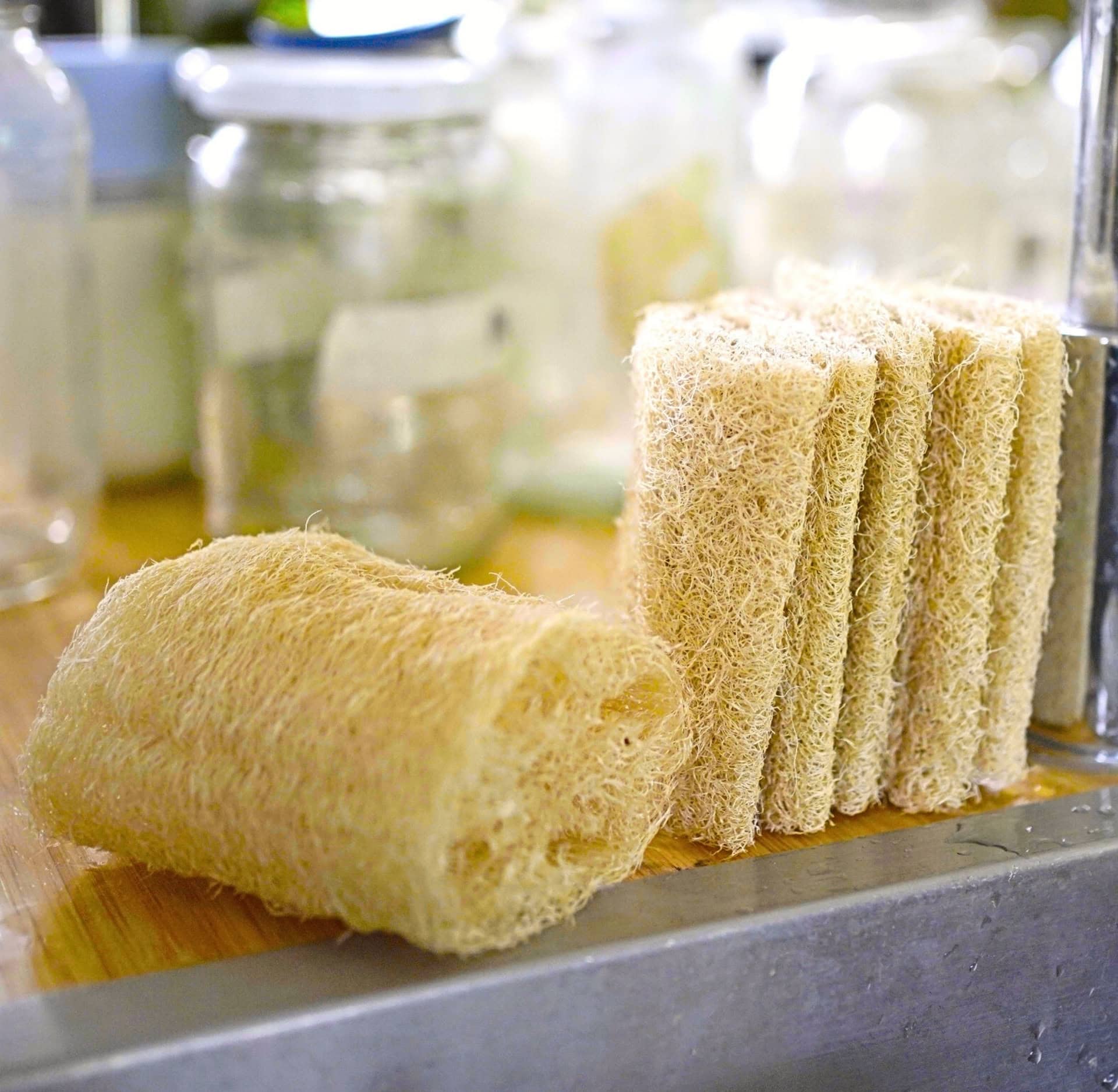 Raw Loofah Sponge vs. Synthetic Sponge: Pros and Cons