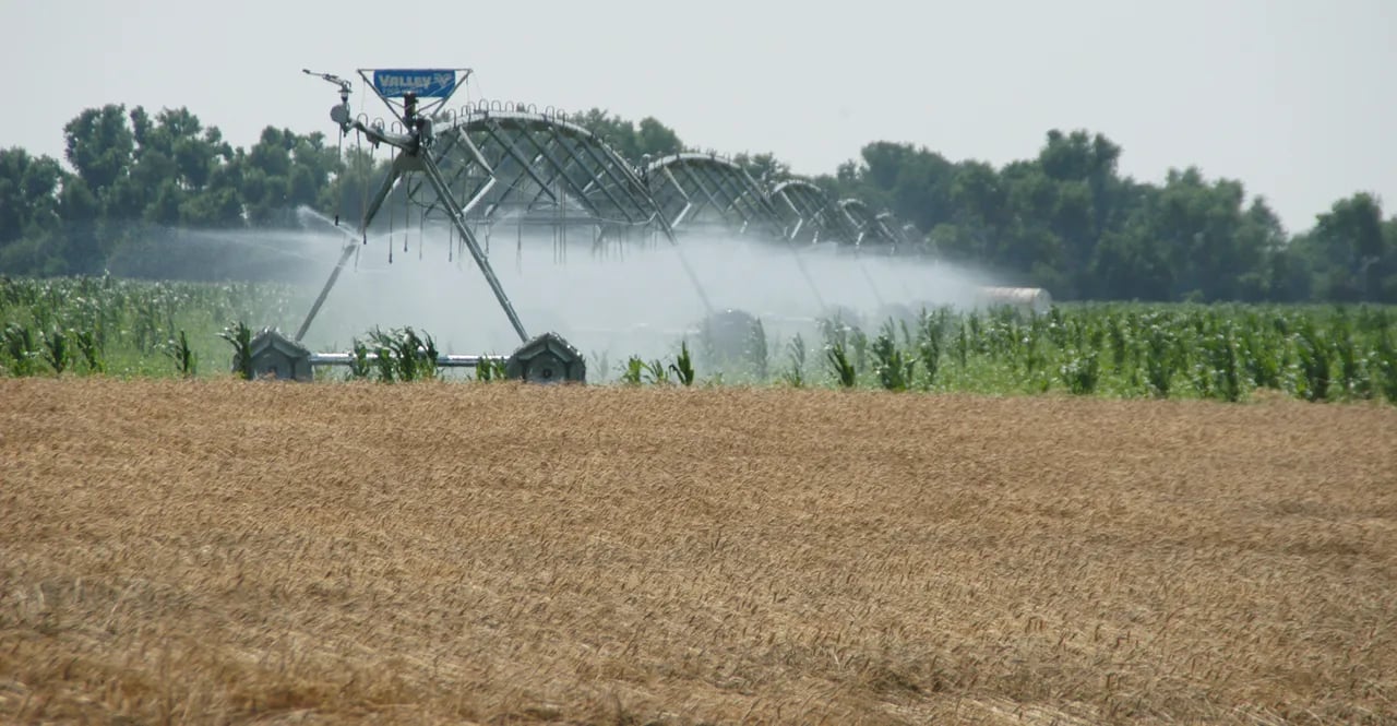 Expert Drainage Services in Aledo , TX by Local Irrigation Professionals