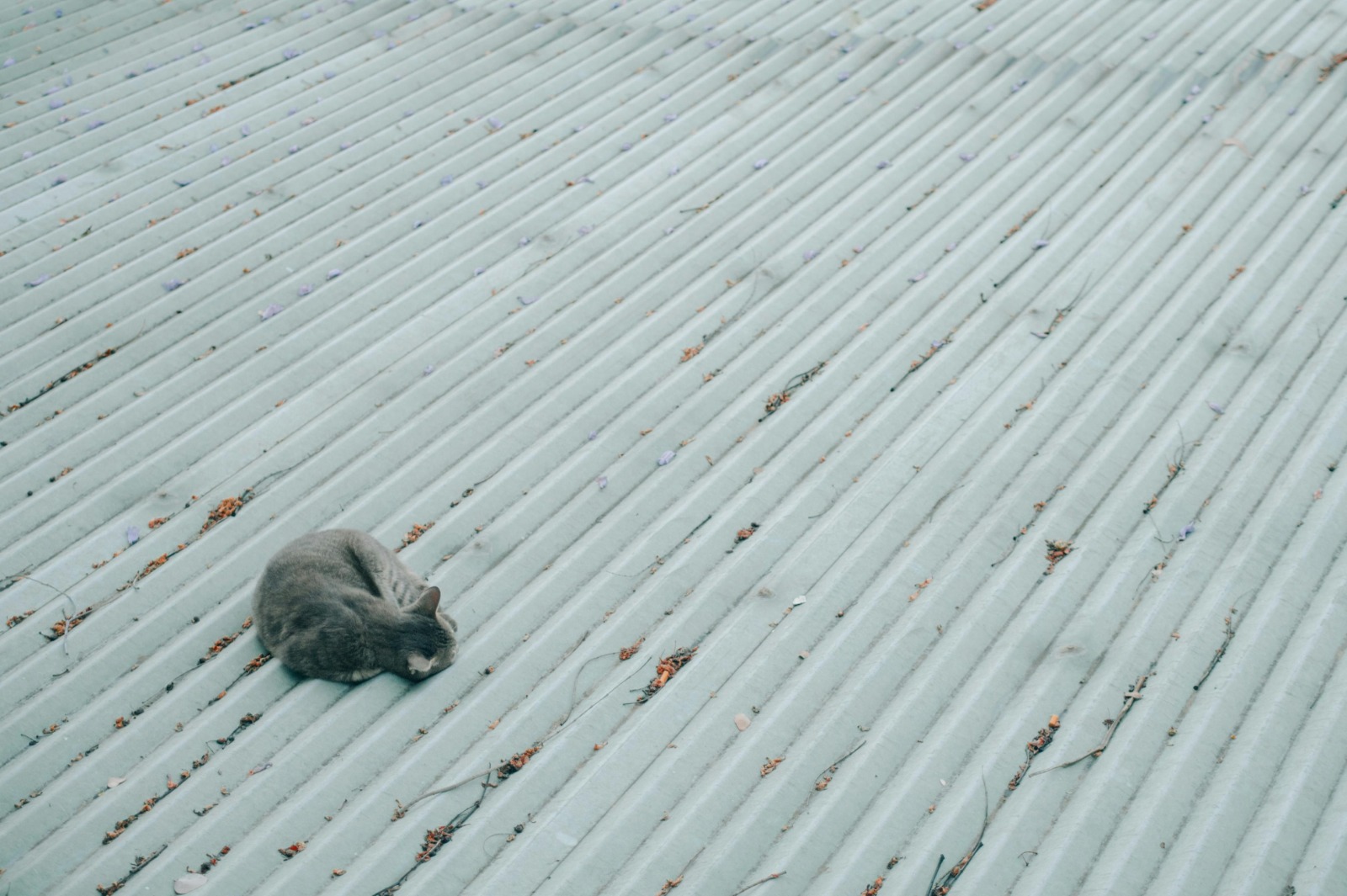 Metal Roofing Companies with Certified Installers